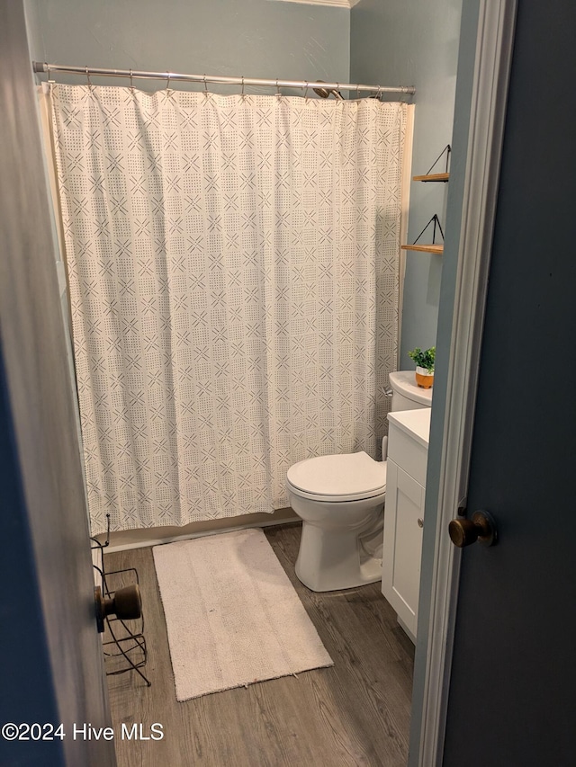 bathroom with vanity, wood-type flooring, and toilet