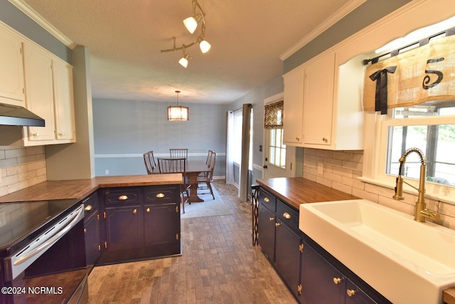 kitchen featuring wooden counters, sink, tasteful backsplash, decorative light fixtures, and white cabinetry