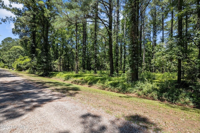 Listing photo 3 for 806 Sailhaven Dr Lot 1, Oriental NC 28571