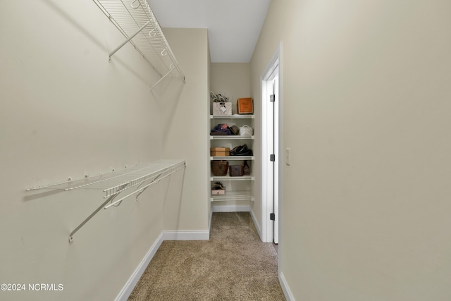 walk in closet featuring light colored carpet