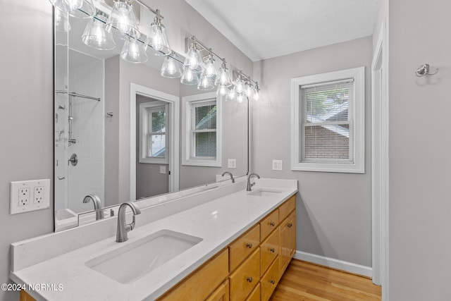 bathroom with a wealth of natural light, vanity, and wood-type flooring