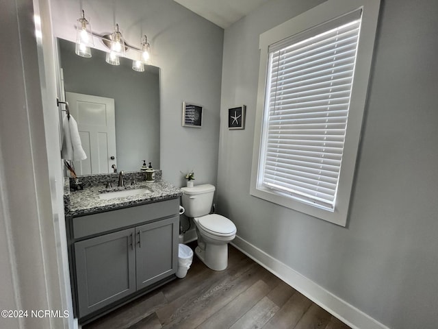 bathroom with vanity, toilet, and hardwood / wood-style flooring