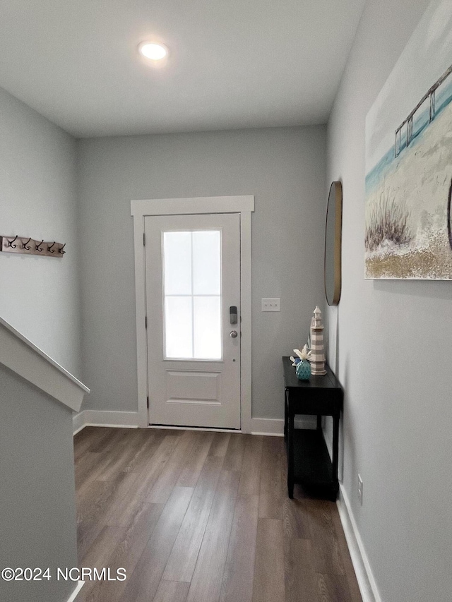 entrance foyer featuring wood-type flooring