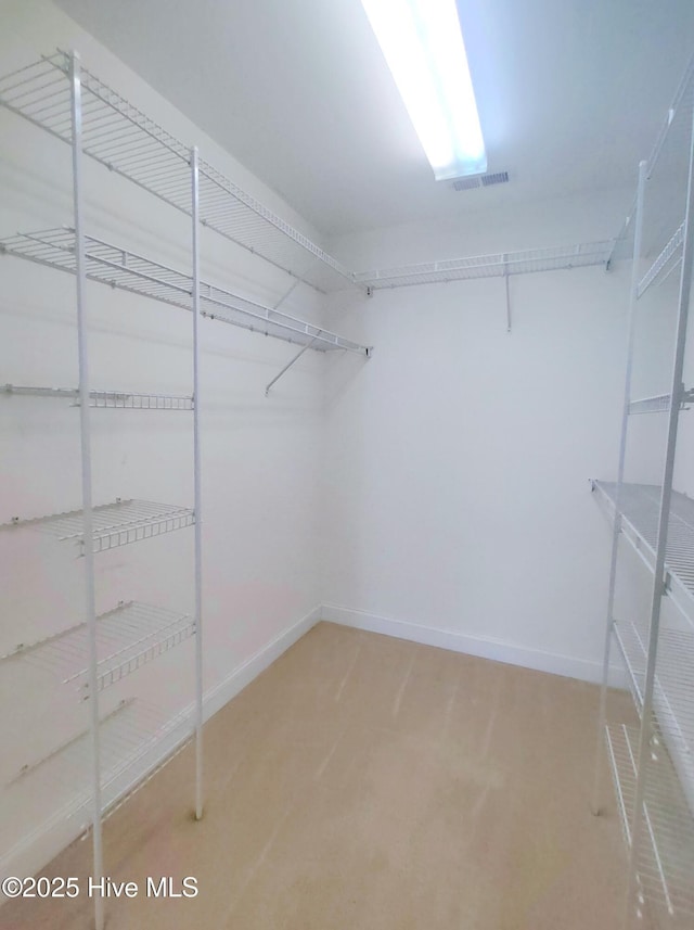 spacious closet featuring carpet flooring