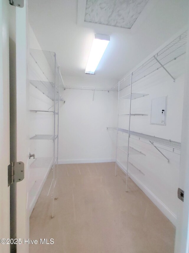 walk in closet featuring carpet floors and electric panel