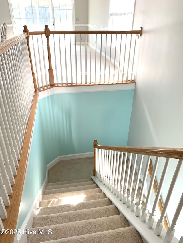 stairs with carpet flooring