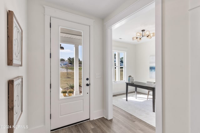 foyer entrance with hardwood / wood-style flooring and a wealth of natural light