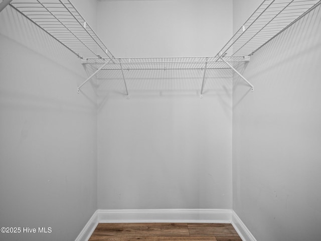 walk in closet featuring wood-type flooring