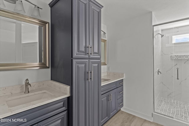 bathroom featuring vanity, wood-type flooring, and a shower with door