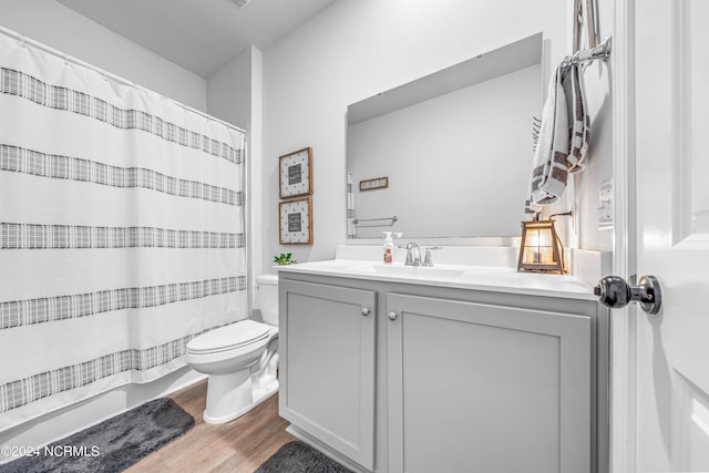 bathroom with toilet, vanity, and wood finished floors