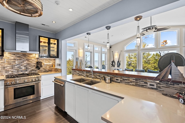 kitchen with tasteful backsplash, stainless steel appliances, sink, wall chimney range hood, and decorative light fixtures