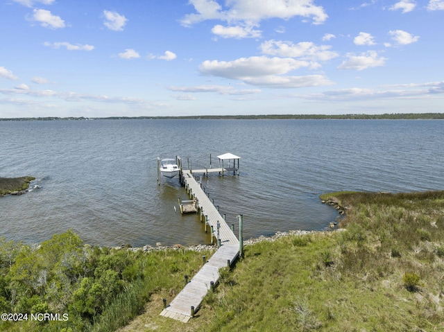 dock area with a water view