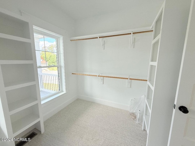 spacious closet featuring carpet