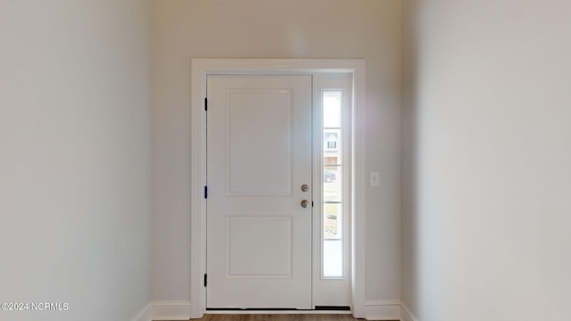 entrance foyer with plenty of natural light and baseboards