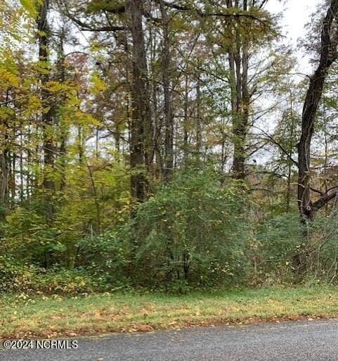 TBD Swains Mill Rd, Harrellsville NC, 27942 land for sale