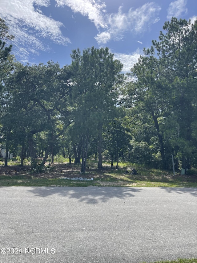 3310 Four Water Ln SW Unit 532, Supply NC, 28462 land for sale