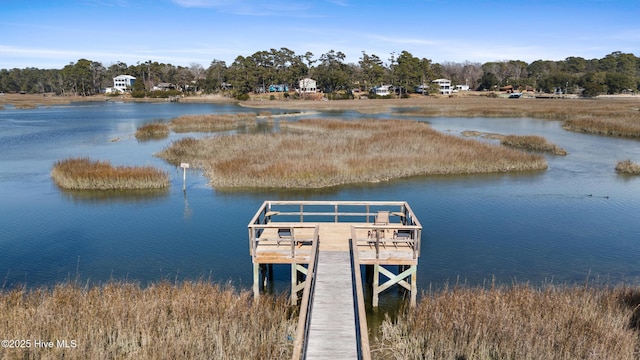 dock area with a water view