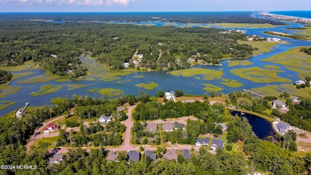 birds eye view of property with a water view and a forest view