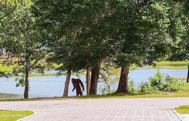 property view of water