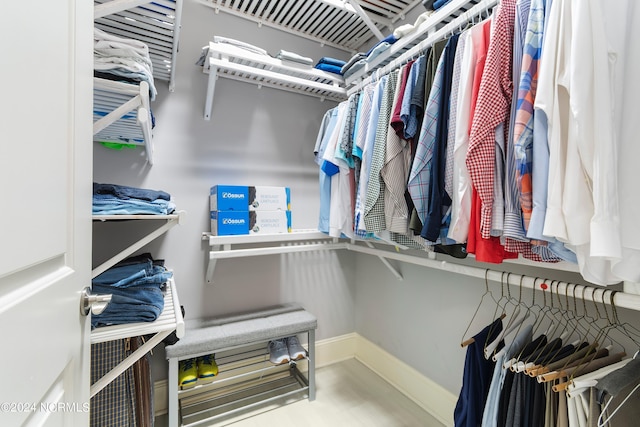 view of spacious closet