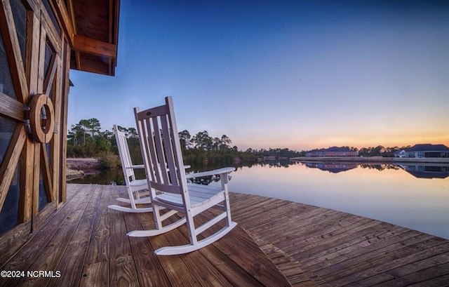 dock area with a water view