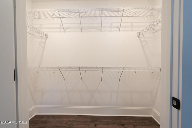 walk in closet featuring wood-type flooring