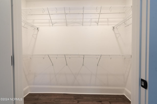 spacious closet featuring dark hardwood / wood-style flooring