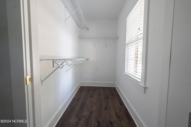 walk in closet featuring dark hardwood / wood-style floors