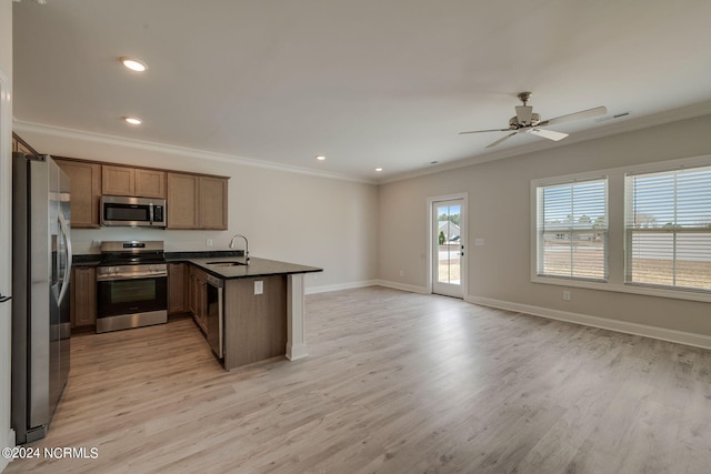 kitchen featuring sink, ornamental molding, light hardwood / wood-style floors, kitchen peninsula, and stainless steel appliances