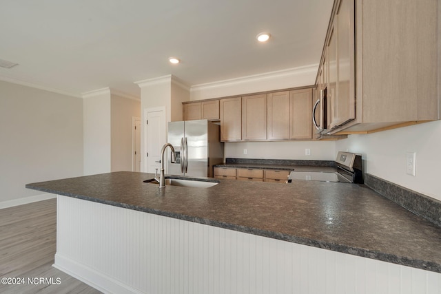 kitchen featuring kitchen peninsula, appliances with stainless steel finishes, light wood-type flooring, ornamental molding, and sink