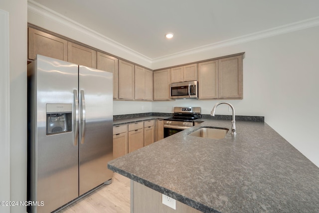 kitchen with crown molding, sink, light brown cabinetry, kitchen peninsula, and stainless steel appliances