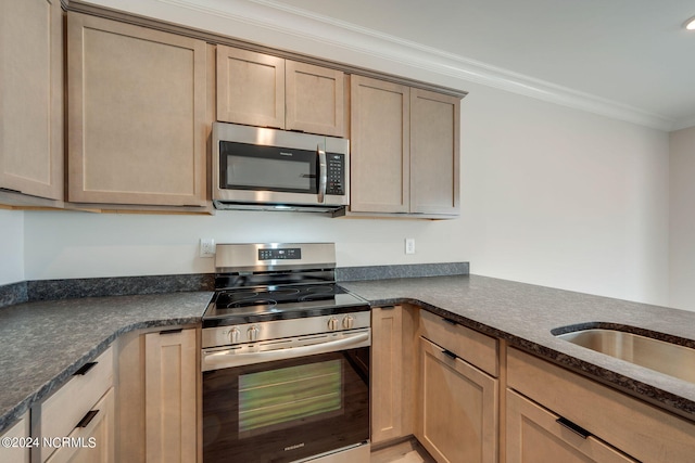 kitchen with light brown cabinets, ornamental molding, and appliances with stainless steel finishes