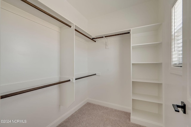 walk in closet with light carpet