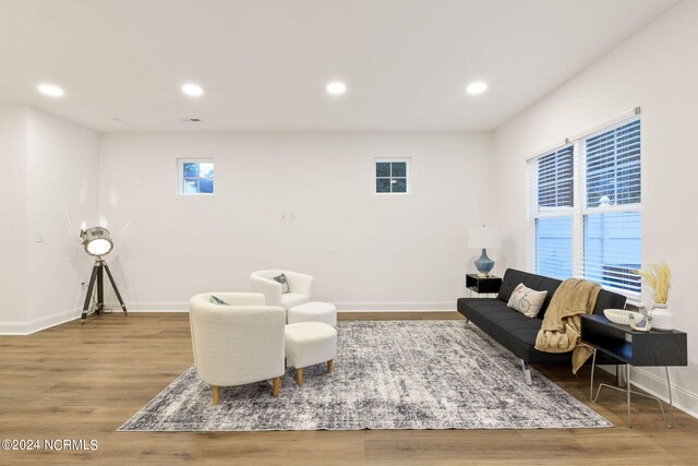 empty room featuring light hardwood / wood-style floors and plenty of natural light