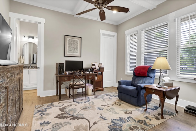 office space featuring light wood-style floors, a ceiling fan, and a wealth of natural light