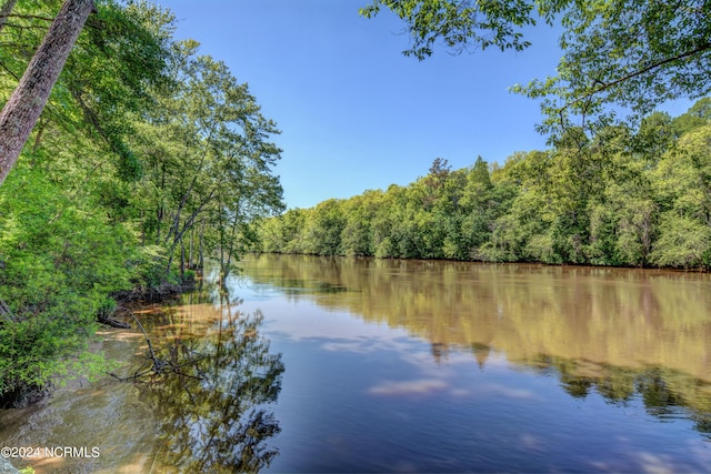 water view with a forest view