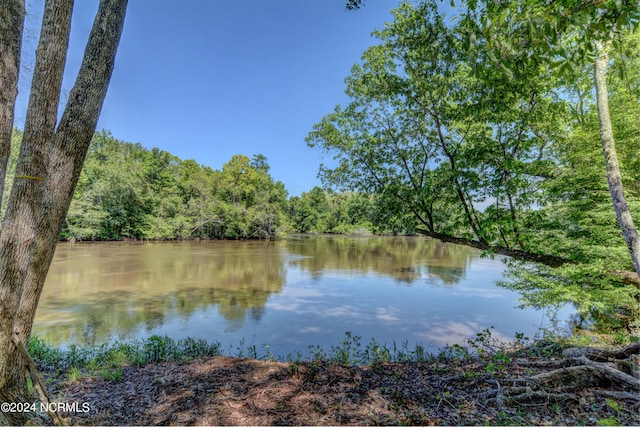 water view with a forest view