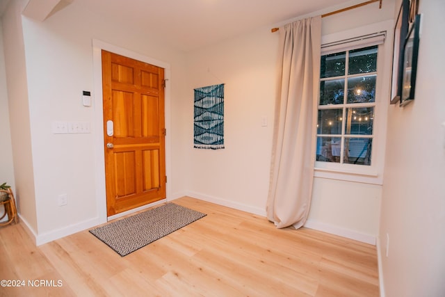 foyer entrance featuring light hardwood / wood-style flooring