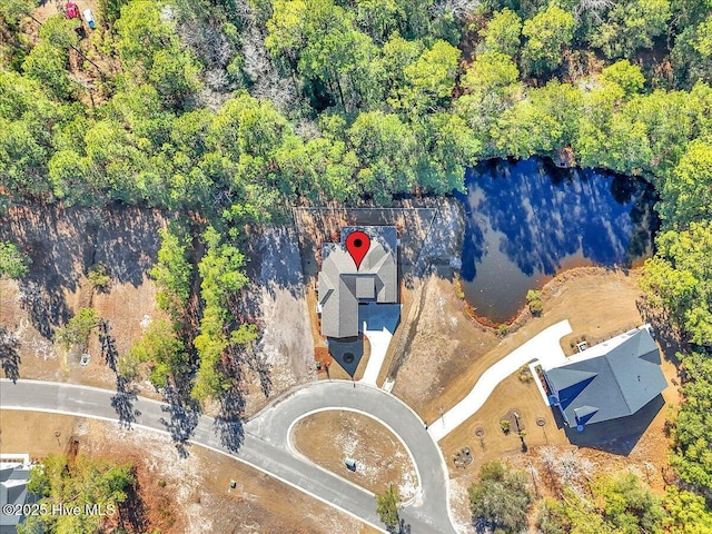 bird's eye view with a view of trees