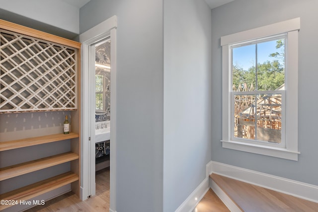 3617 Barnesmore Dr, Castle Hayne, NC 28429 - wine room with wood finished floors, plenty of natural light, and baseboards