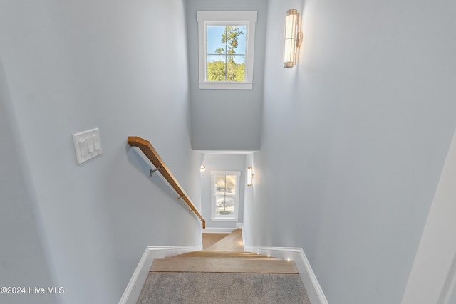 3617 Barnesmore Dr, Castle Hayne, NC 28429 - stairs with baseboards and carpet flooring