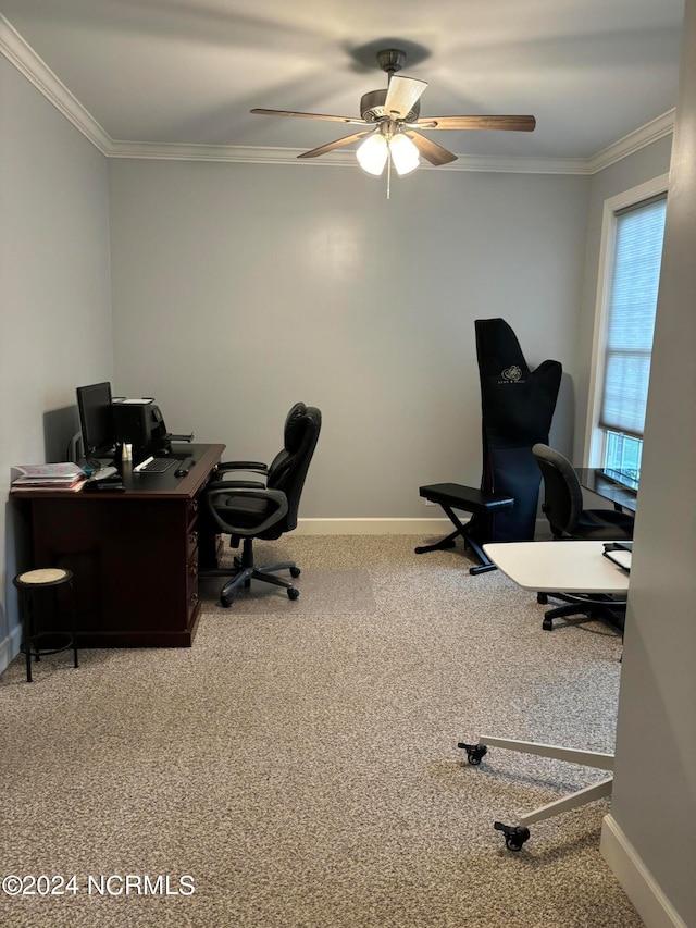 home office with carpet, crown molding, and ceiling fan