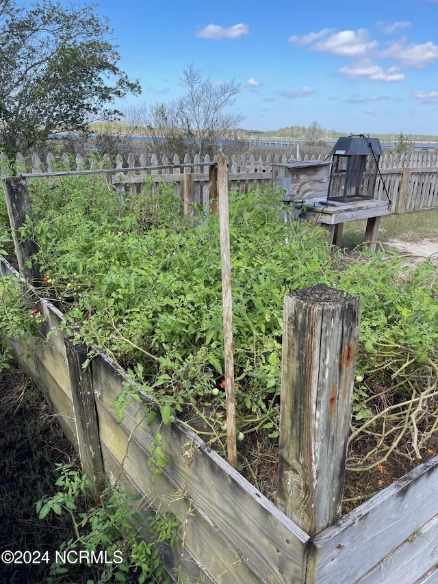 221 Lawrence Rd, Beaufort, NC 28516 - exterior view of a vegetable garden