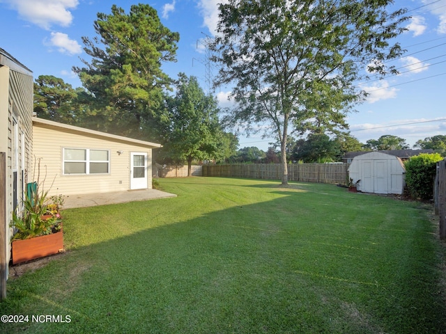 view of yard featuring a patio area and a storage shed