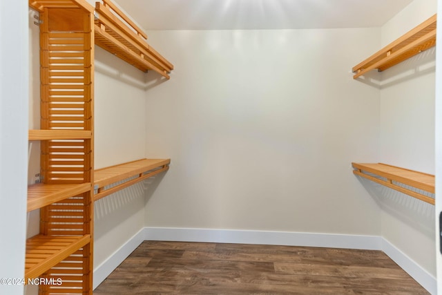 walk in closet featuring dark hardwood / wood-style flooring