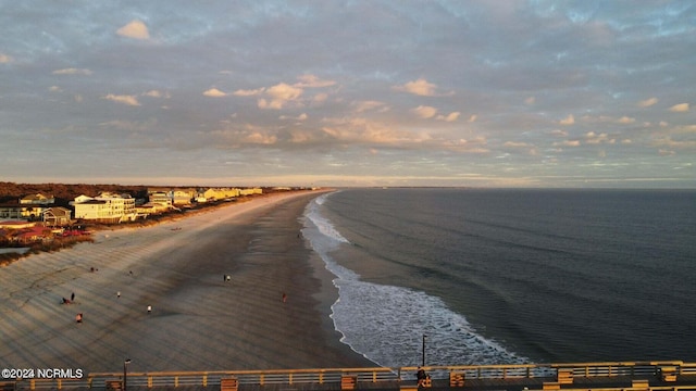 water view featuring a beach view