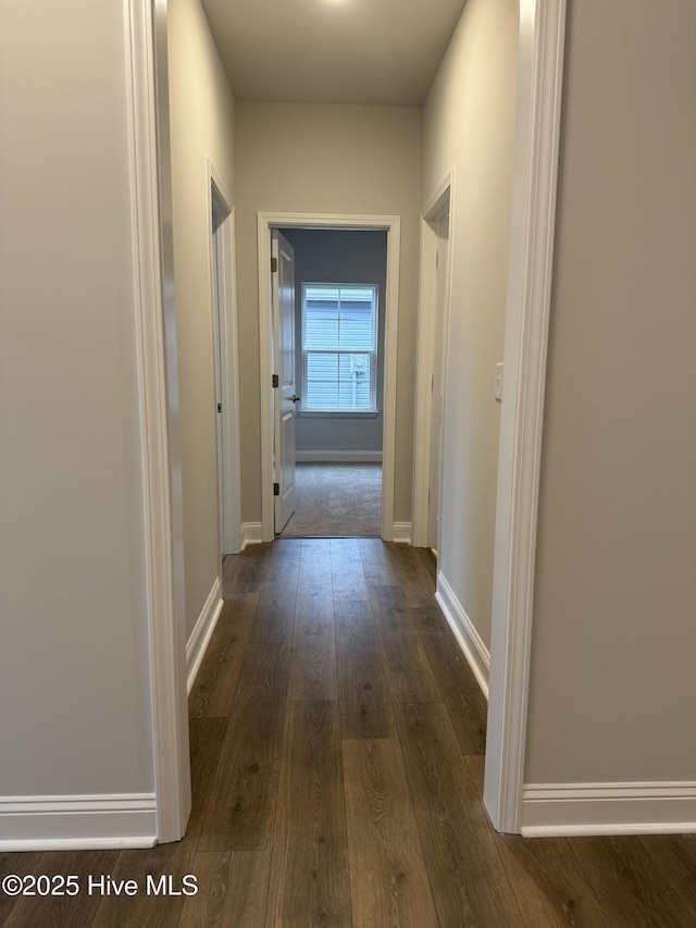 hall with dark wood-type flooring