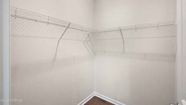 walk in closet featuring hardwood / wood-style flooring