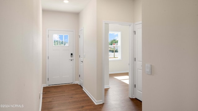 entryway featuring dark hardwood / wood-style flooring