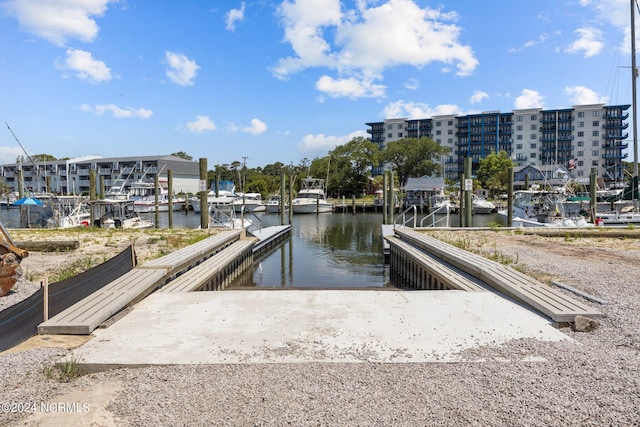 dock area with a water view